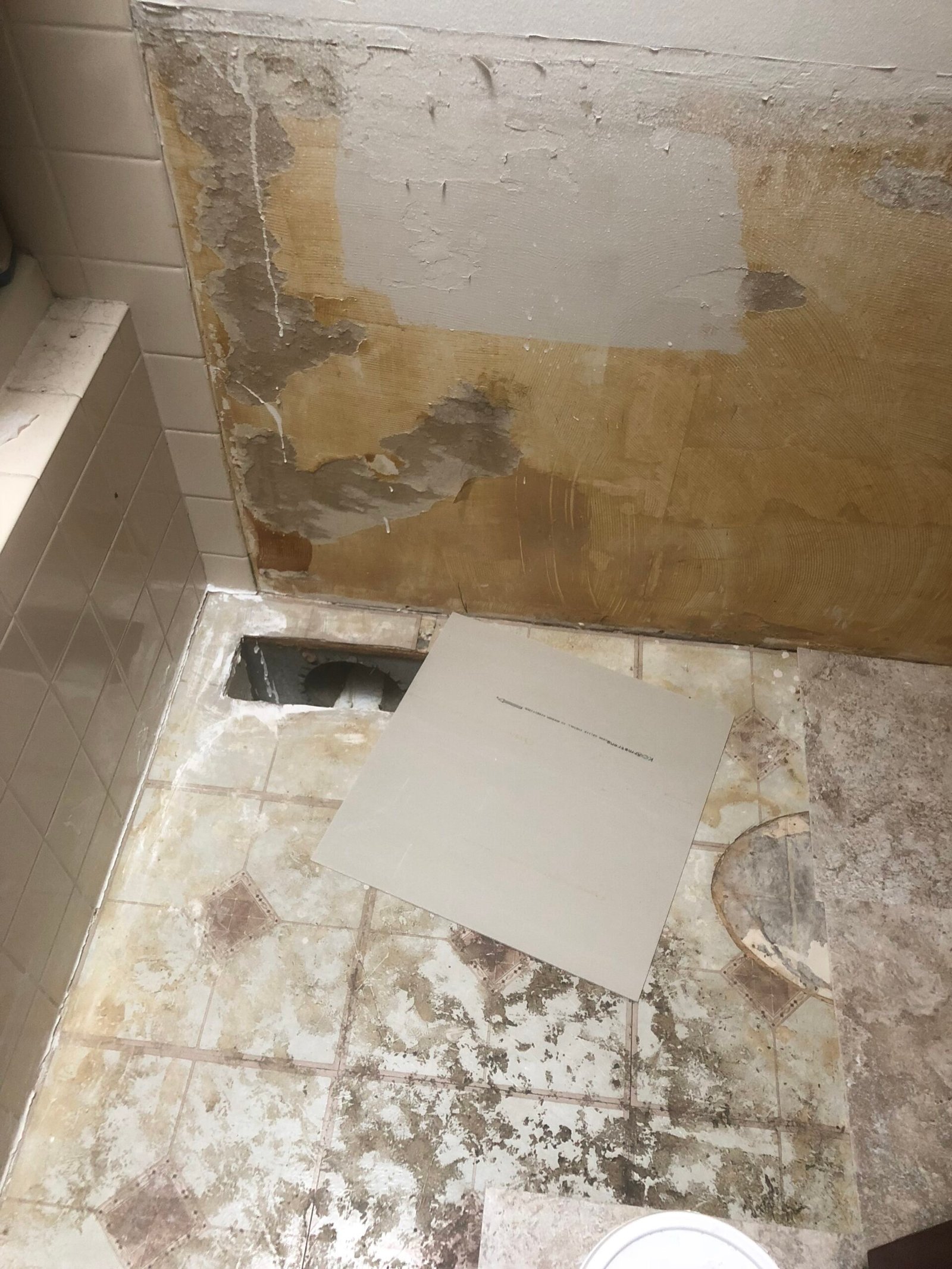 Bathroom before renovation